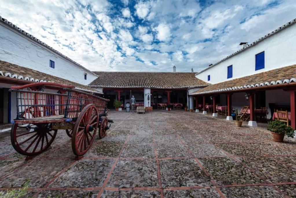 1B-Precioso Apartamento En Pleno Centro. A Estreno Alcazar de San Juan Kültér fotó